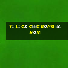 tỷ lệ cá cược bóng đá hôm