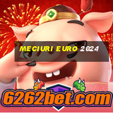 meciuri euro 2024