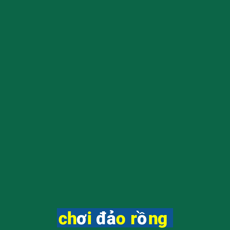 chơi đảo rồng