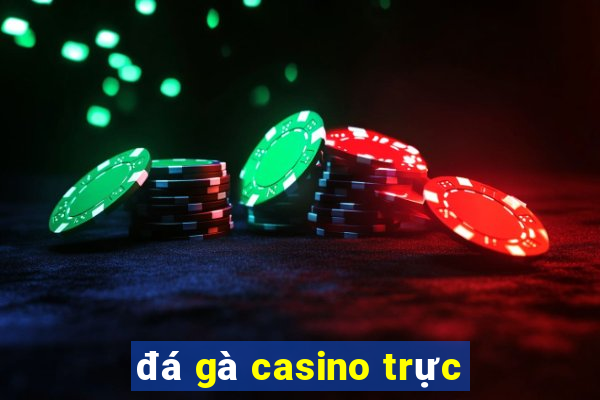 đá gà casino trực