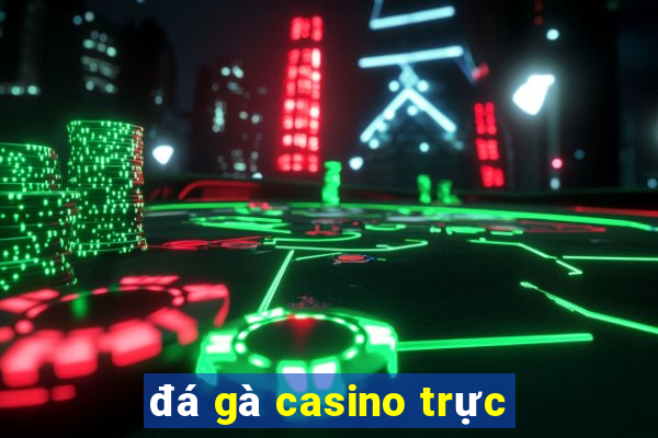 đá gà casino trực