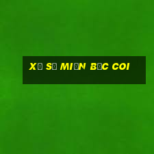 xổ số miền bắc coi