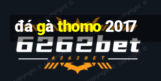 đá gà thomo 2017