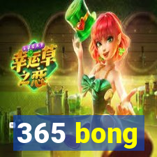 365 bong