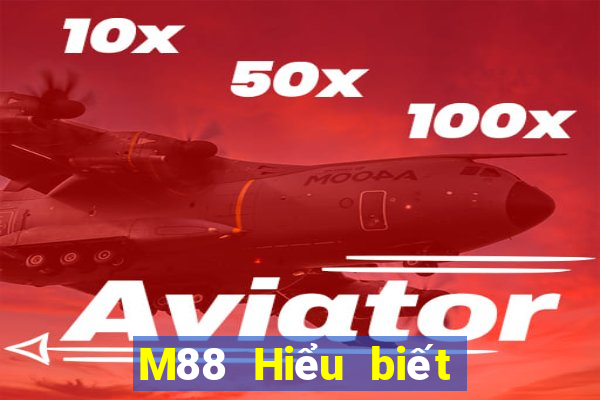 M88 Hiểu biết về bóng di tự