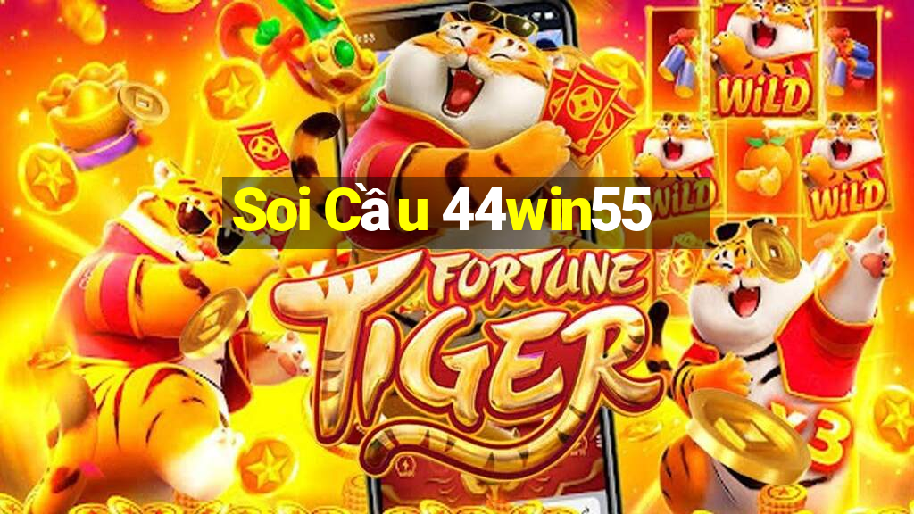 Soi Cầu 44win55