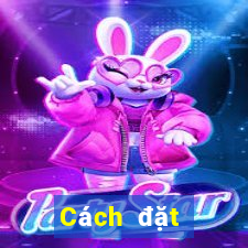 Cách đặt cược XSHG ngày 11