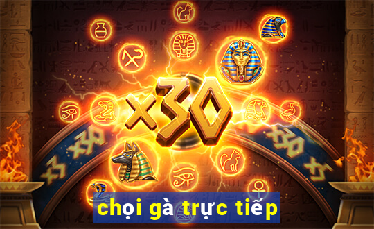 chọi gà trực tiếp