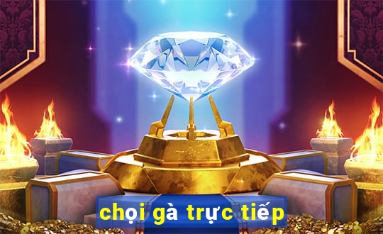 chọi gà trực tiếp