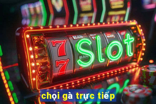 chọi gà trực tiếp