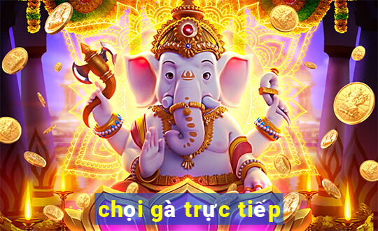 chọi gà trực tiếp