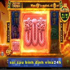 soi cau binh dinh vina24h