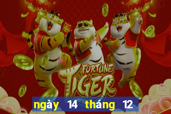 ngày 14 tháng 12 xổ số bình định