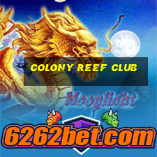 colony reef club