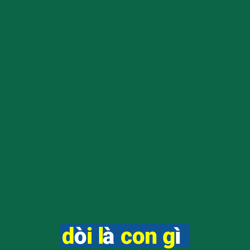 dòi là con gì