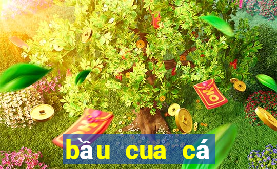 bầu cua cá cọp rules