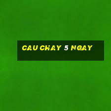 cau chay 5 ngay