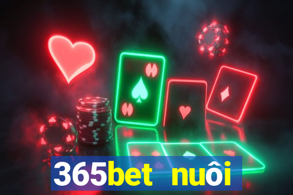 365bet nuôi dưỡng Châu Á