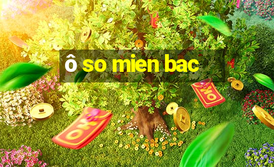 ô so mien bac