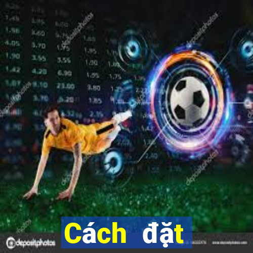 Cách đặt cược XSTN ngày 10