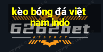 kèo bóng đá việt nam indo