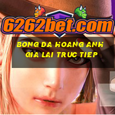 bong da hoang anh gia lai truc tiep