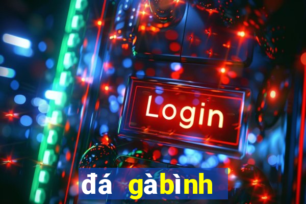 đá gà bình luận viên