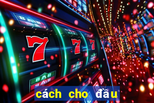 cách cho đầu hết bết