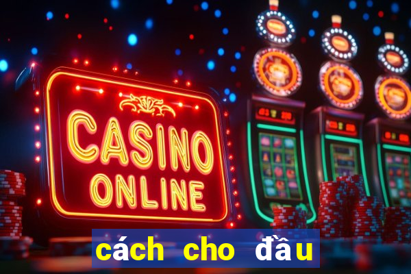 cách cho đầu hết bết