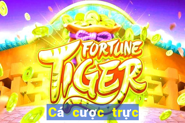 Cá cược trực tuyến phê vin club