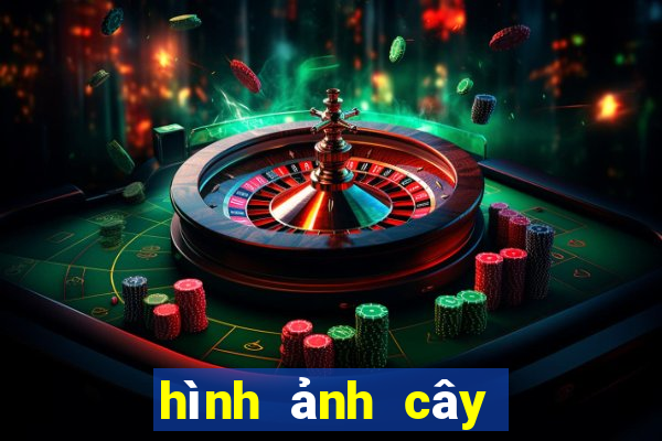 hình ảnh cây ngưu tất