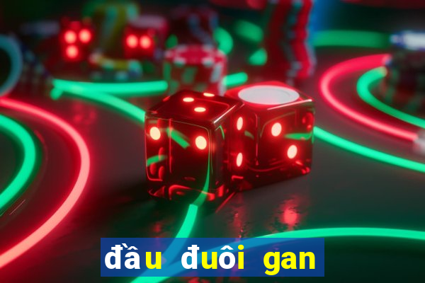 đầu đuôi gan miền bắc