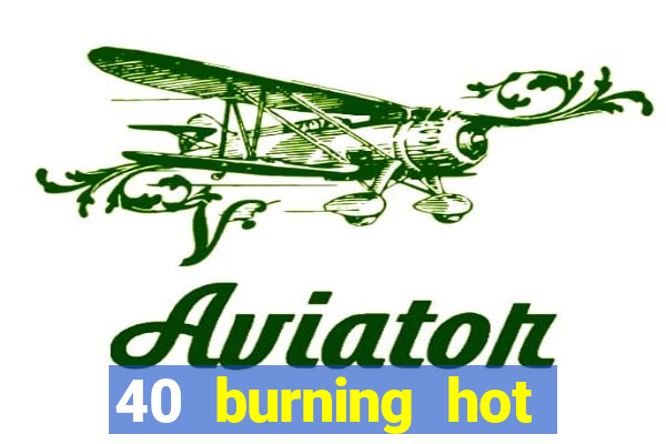 40 burning hot slot game