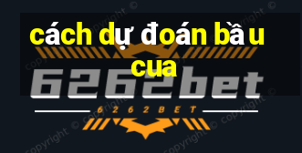 cách dự đoán bầu cua