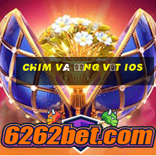 Chim và động vật ios