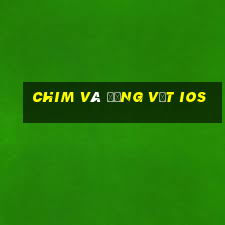 Chim và động vật ios