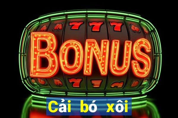 Cải bó xôi Xếp hạng Uy tín Đảm bảo Fun88 Tải về