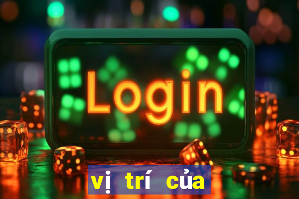 vị trí của vua trong cờ vua