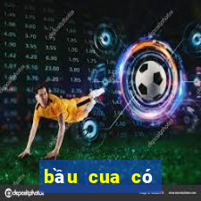 bầu cua có bịp không