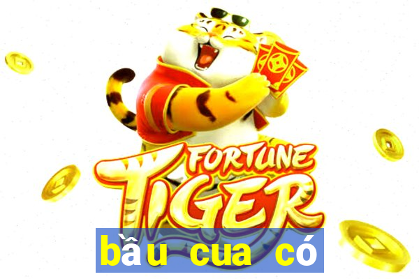 bầu cua có bịp không