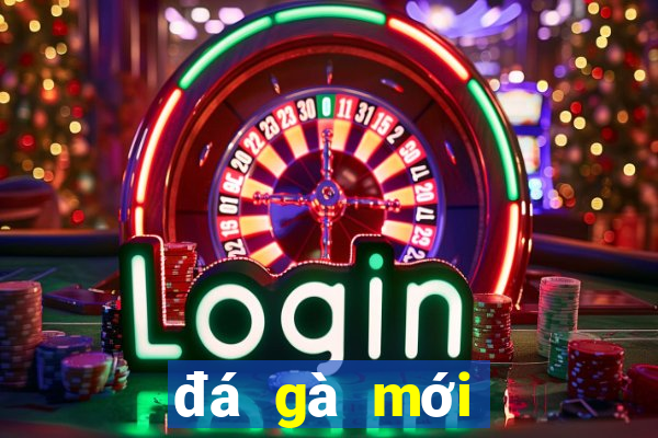 đá gà mới nhất năm 2019