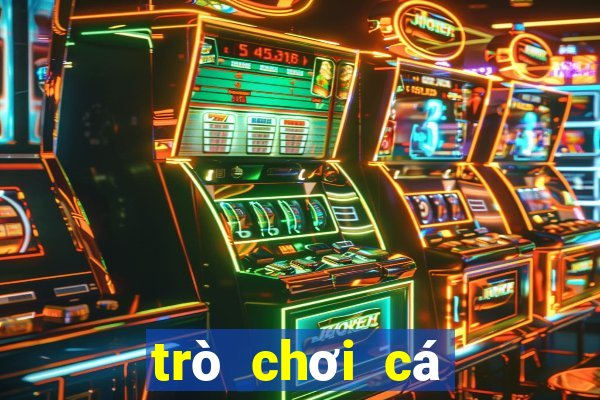 trò chơi cá mập miễn phí