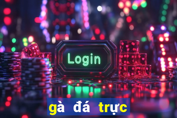 gà đá trực tiếp c1