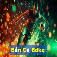 Bắn Cá Bdkq