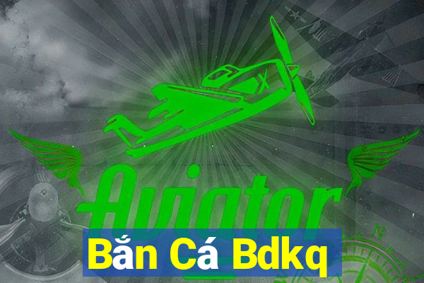 Bắn Cá Bdkq