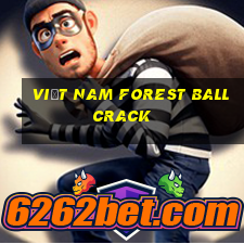 Việt nam Forest Ball Crack