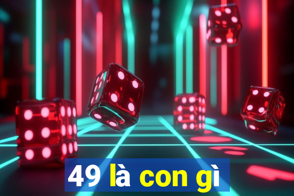 49 là con gì