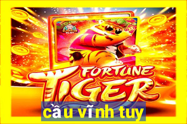 cầu vĩnh tuy