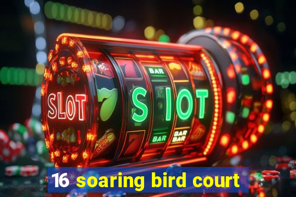 16 soaring bird court