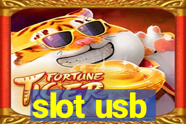 slot usb